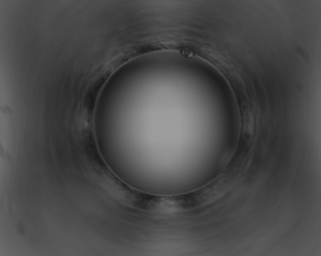 X0000090960518200708021419