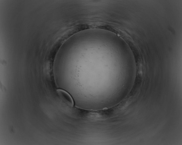 X0000090960519200708021419