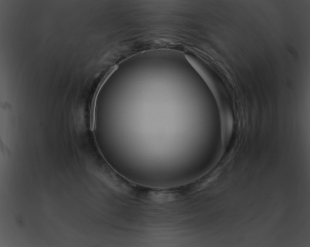 X0000090960520200708021419
