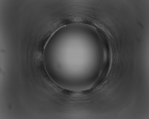 X0000090960521200708021419