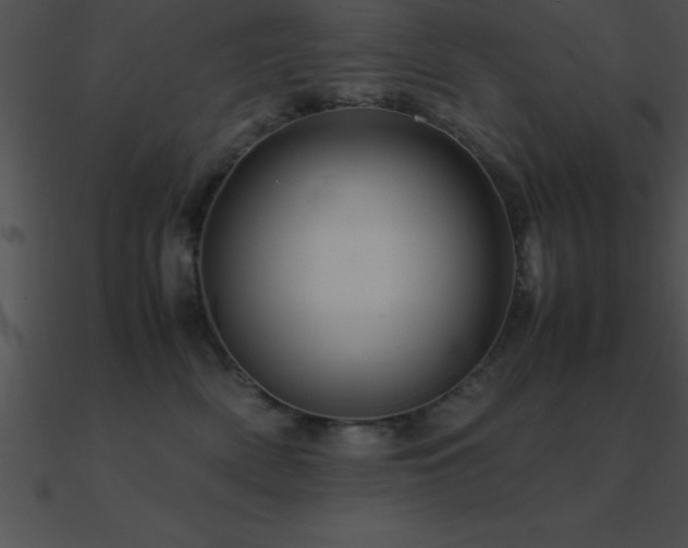 X0000090960522200708021419