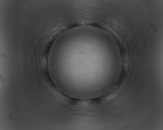 X0000090960523200708021419