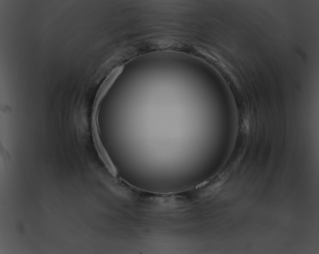 X0000090960524200708021418