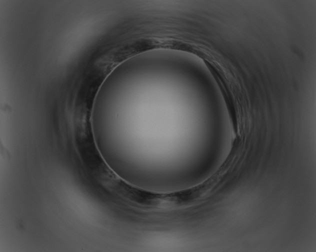 X0000090960525200708021418