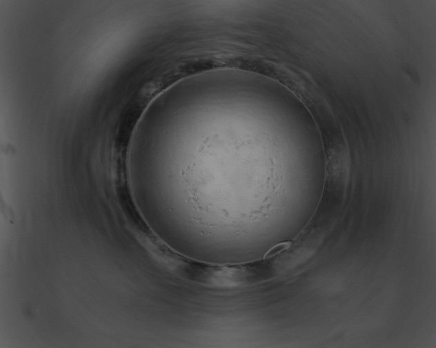 X0000090960527200708021418