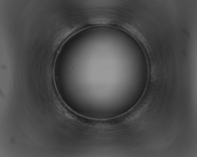 X0000090960529200708021418