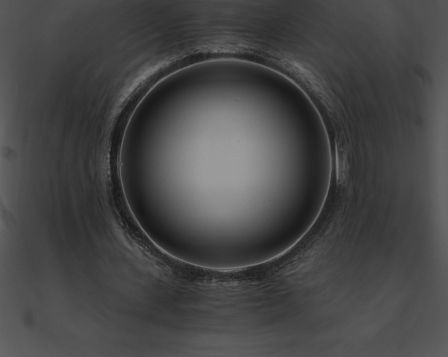 X0000090960531200708021418