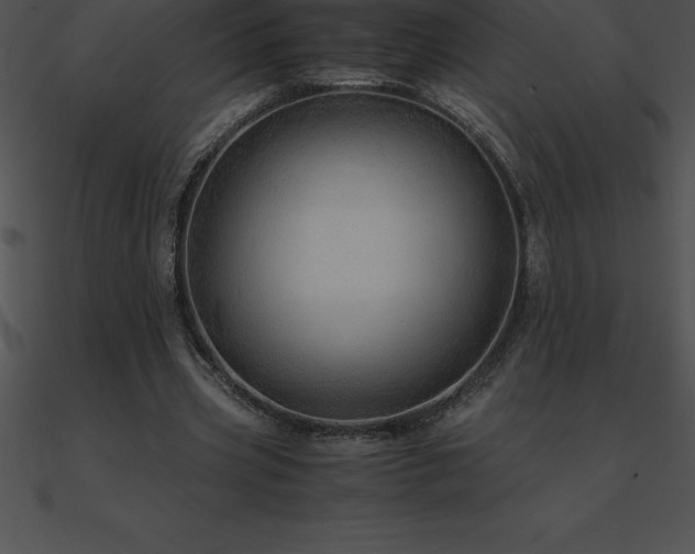X0000090960533200708021418