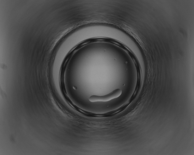 X0000090960534200708021418