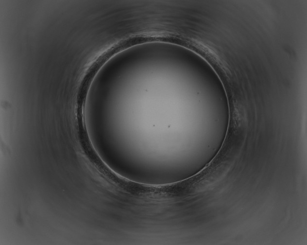 X0000090960535200708021418