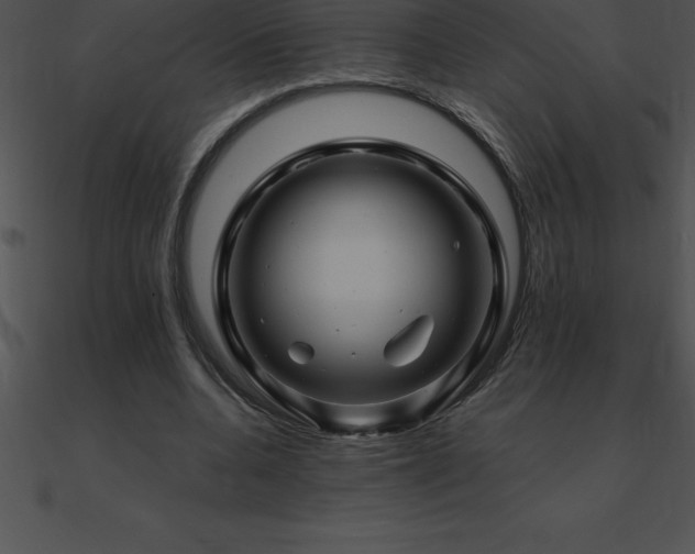 X0000090960536200708021418