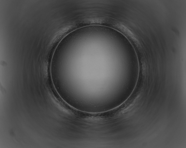X0000090960537200708021418