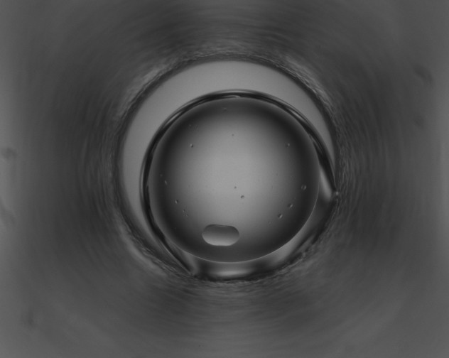 X0000090960538200708021418