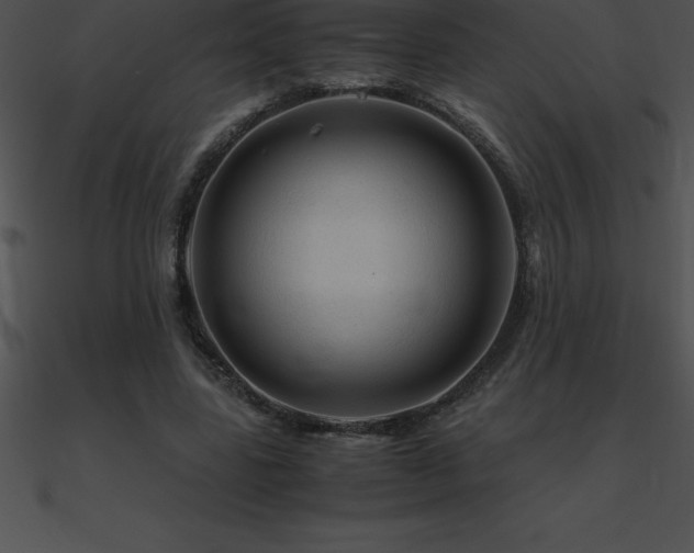 X0000090960539200708021418