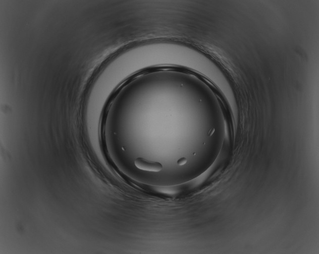 X0000090960540200708021418