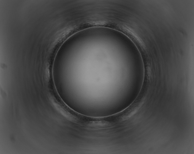 X0000090960541200708021418