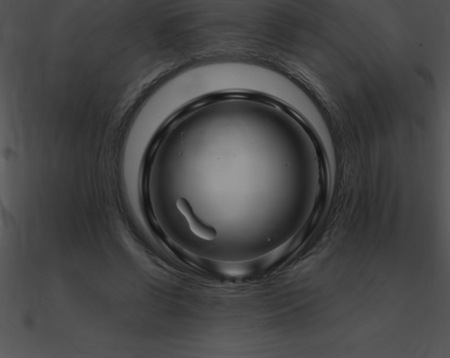 X0000090960542200708021418