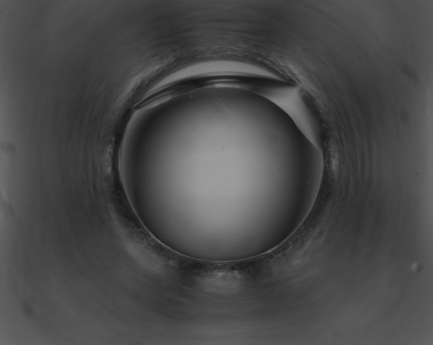 X0000090960543200708021418