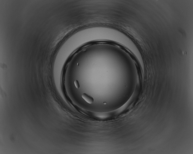X0000090960544200708021418