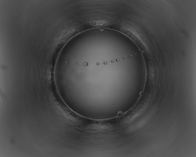X0000090960545200708021418