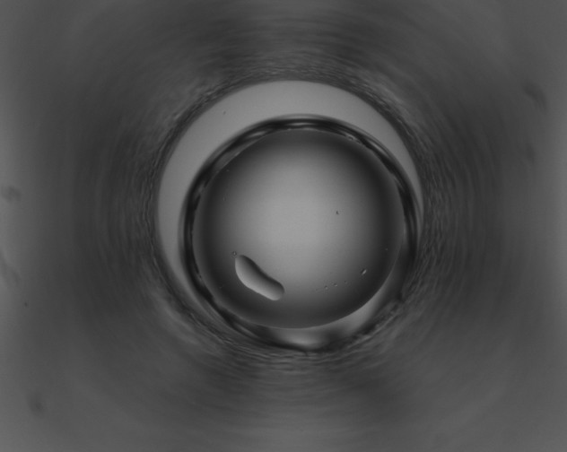X0000090960546200708021418