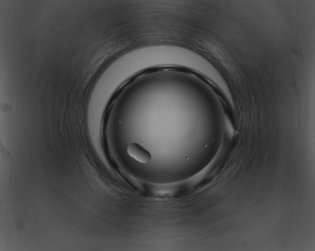 X0000090960548200708021418