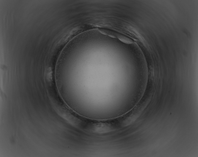 X0000090960549200708021418