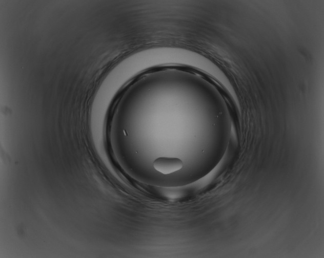 X0000090960550200708021418