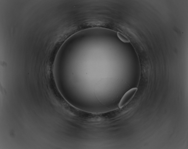 X0000090960551200708021418