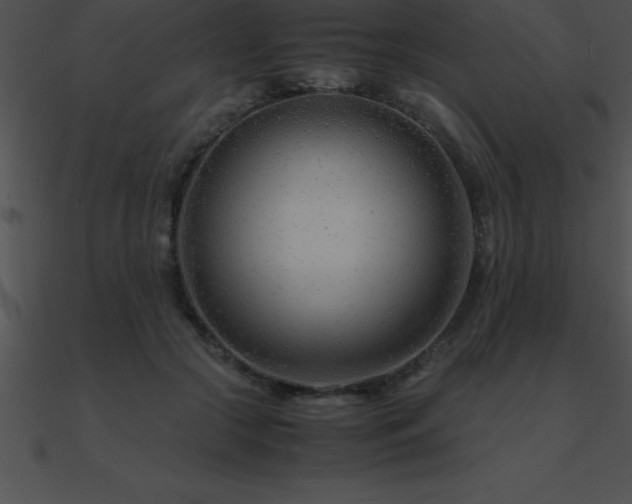 X0000090960553200708021418