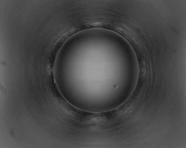 X0000090960555200708021418