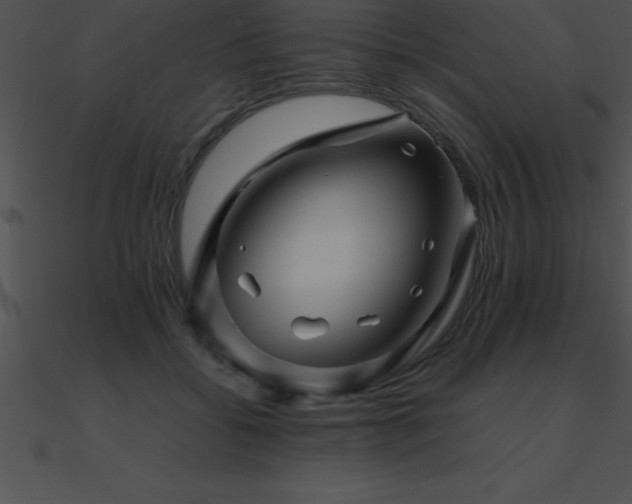 X0000090960556200708021418