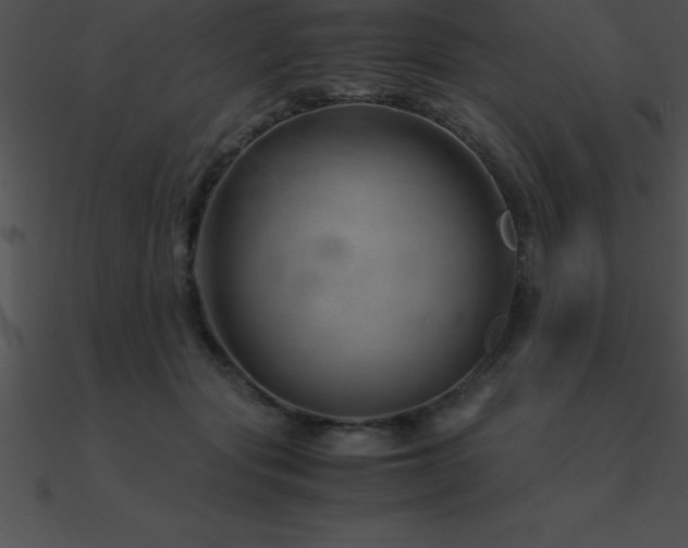 X0000090960557200708021418