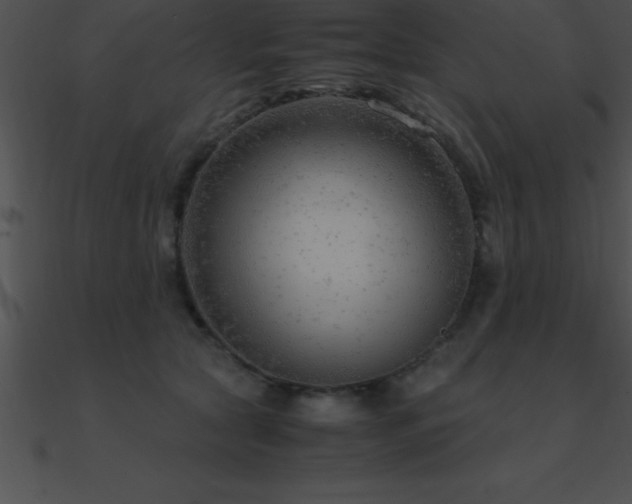 X0000090960561200708021418