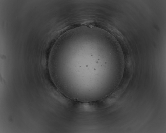 X0000090960565200708021418