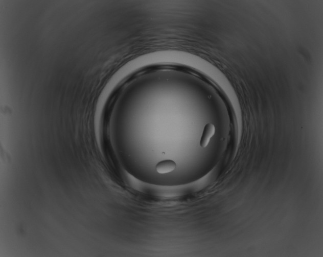 X0000090960570200708021418
