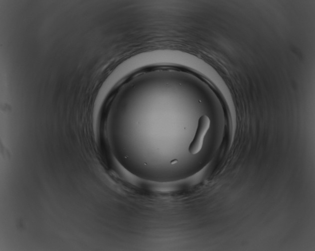 X0000090960572200708021418