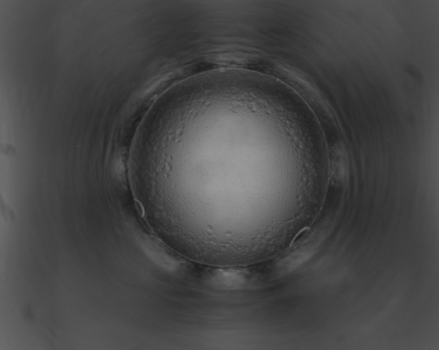 X0000090960573200708021418