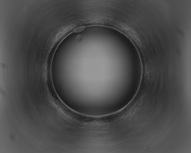 X0000090960578200708021418