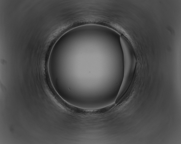 X0000090960581200708021418