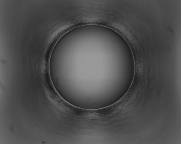 X0000090960583200708021418
