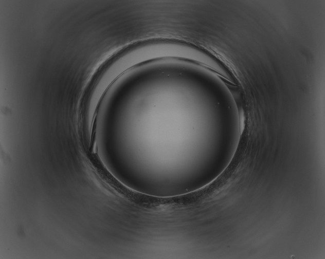 X0000090960584200708021418