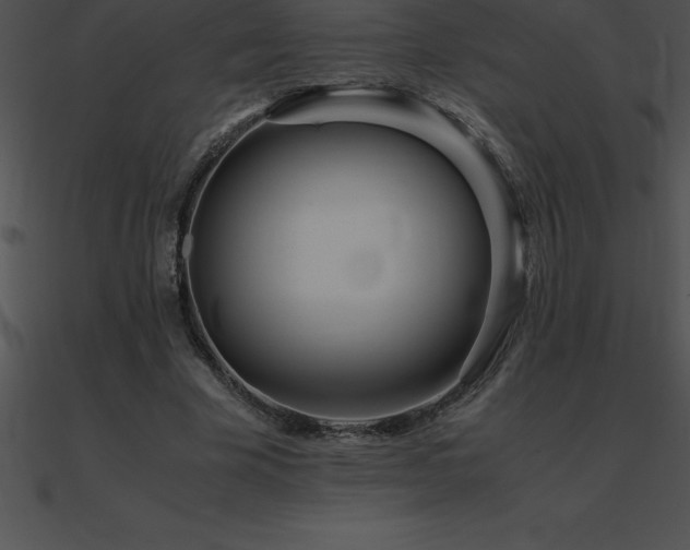 X0000090960585200708021418