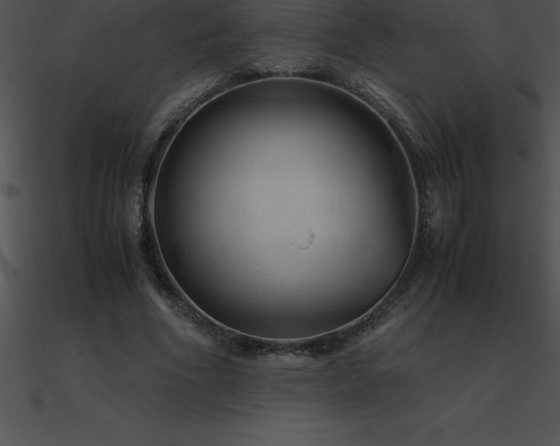X0000090960586200708021418