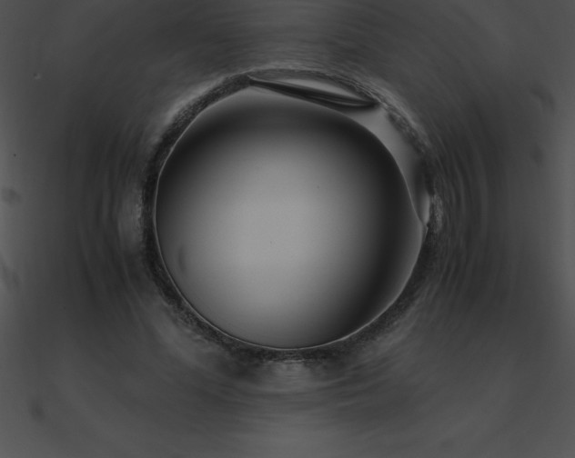 X0000090960588200708021418