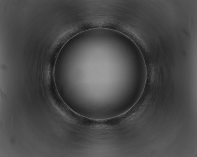 X0000090960590200708021417
