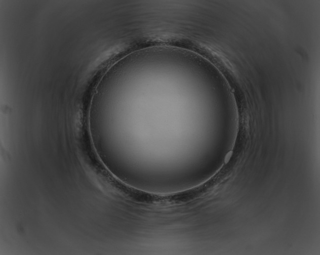 X0000090960591200708021417