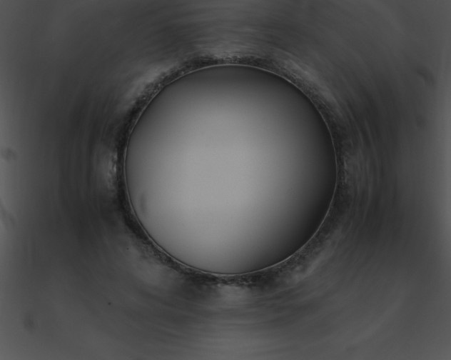 X0000090960592200708021417