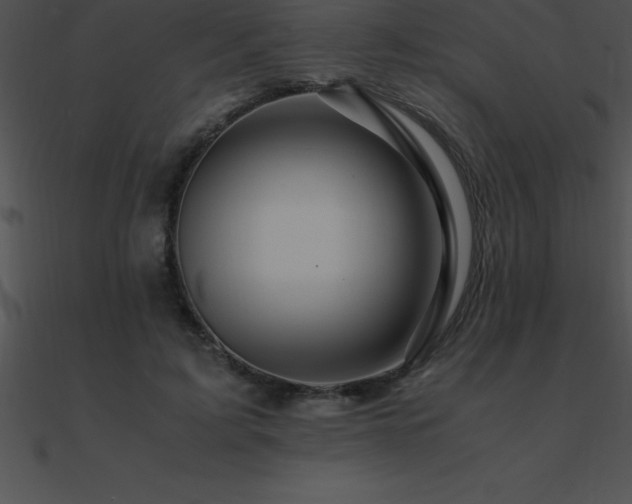 X0000090960595200708021417
