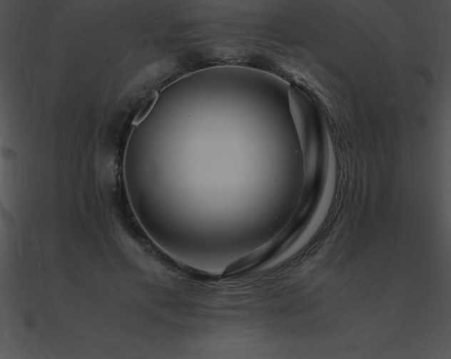 X0000090960597200708021417